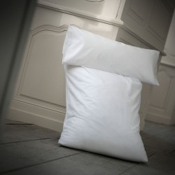 How to Make Your Pillows & Cushions Look Their Very Best! - Paris