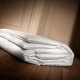 Goose down summer duvet Moldavie 90%