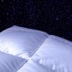 White goose down duvet Arctic - Millesime 2016