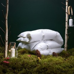 4 Seasons Duvet The Duvet That Accompanies You Throughout The