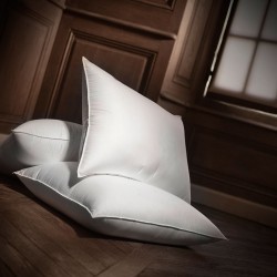 How to Make Your Pillows & Cushions Look Their Very Best! - Paris